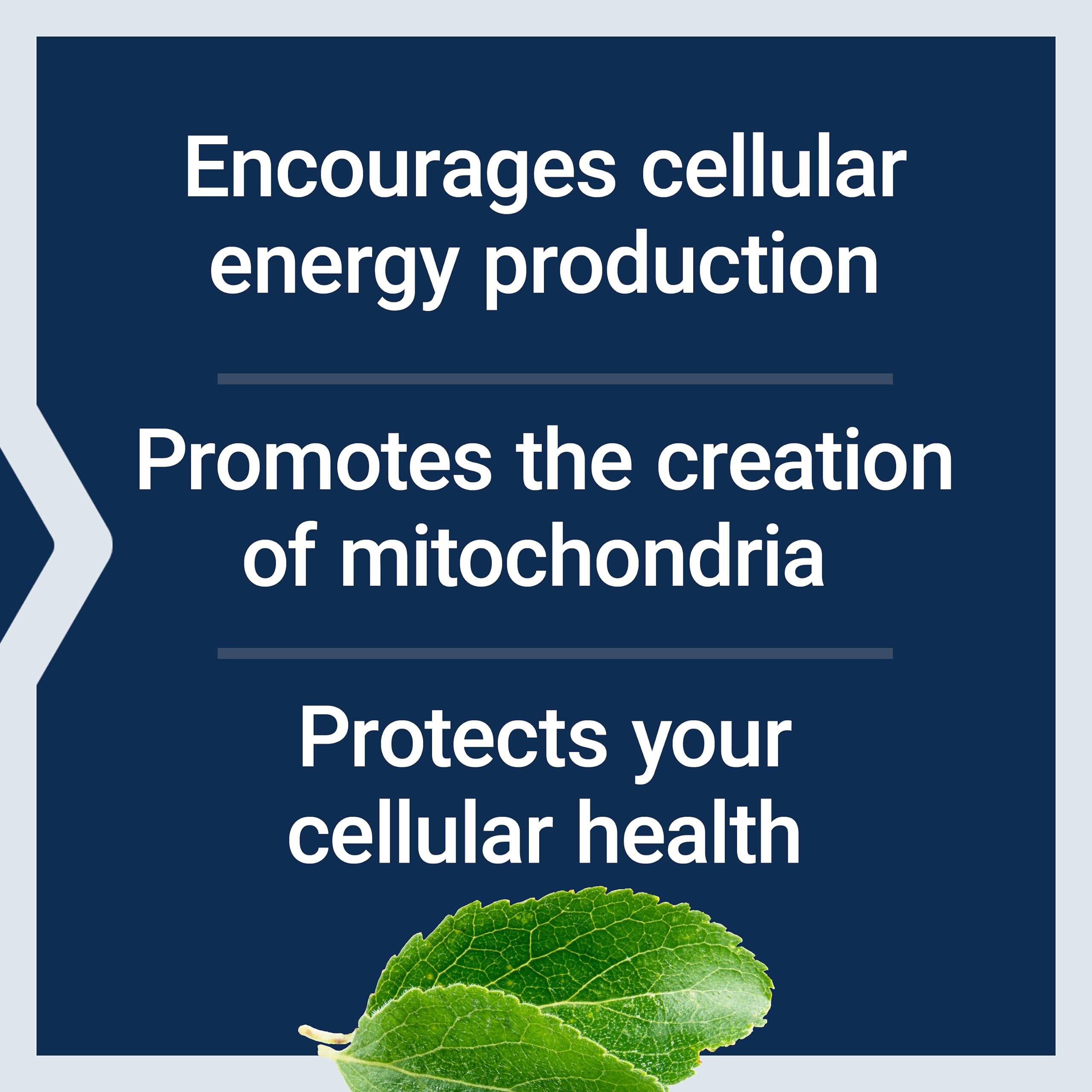 Life Extension ingredientes clave PQQ, taurina y benfotiamina indicados para energía celular