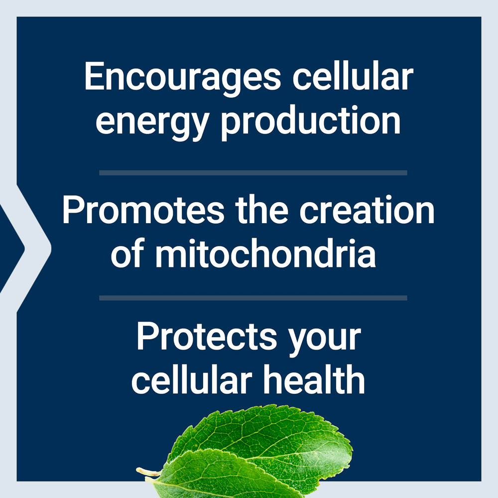 Life Extension ingredientes clave PQQ, taurina y benfotiamina indicados para energía celular