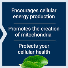 Life Extension ingredientes clave PQQ, taurina y benfotiamina indicados para energía celular