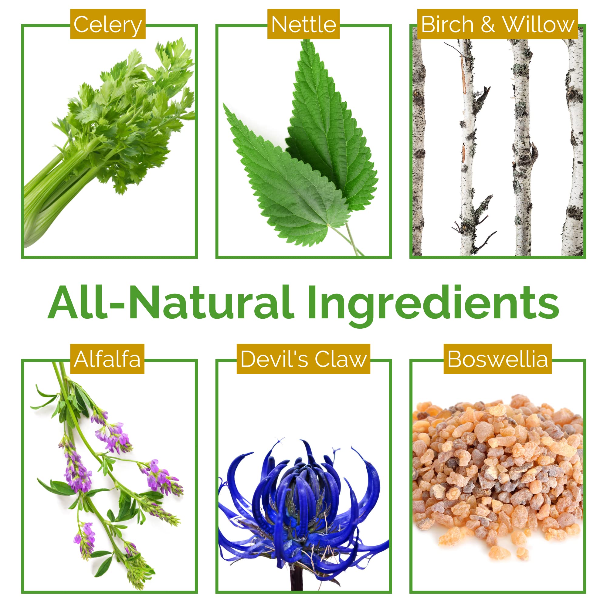 Life Tones ingredientes herbales secos resaltando origen natural y pureza