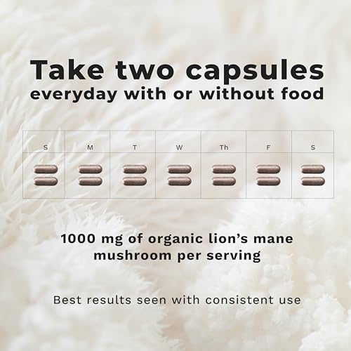 LifeSeasons Melena de León ingredientes: micelio y cuerpo fructificado para la composición.