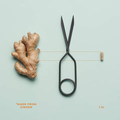 LifeSeasons PreMense-T: ideal para acompañar tu rutina de cuidado hormonal.