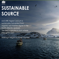 LILICARE algas rojas en ambiente natural, origen sostenible del calcio