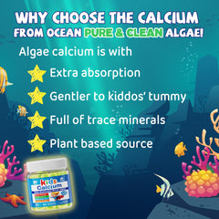 LILICARE etiqueta nutricional abierta mostrando ingredientes clave y claridad