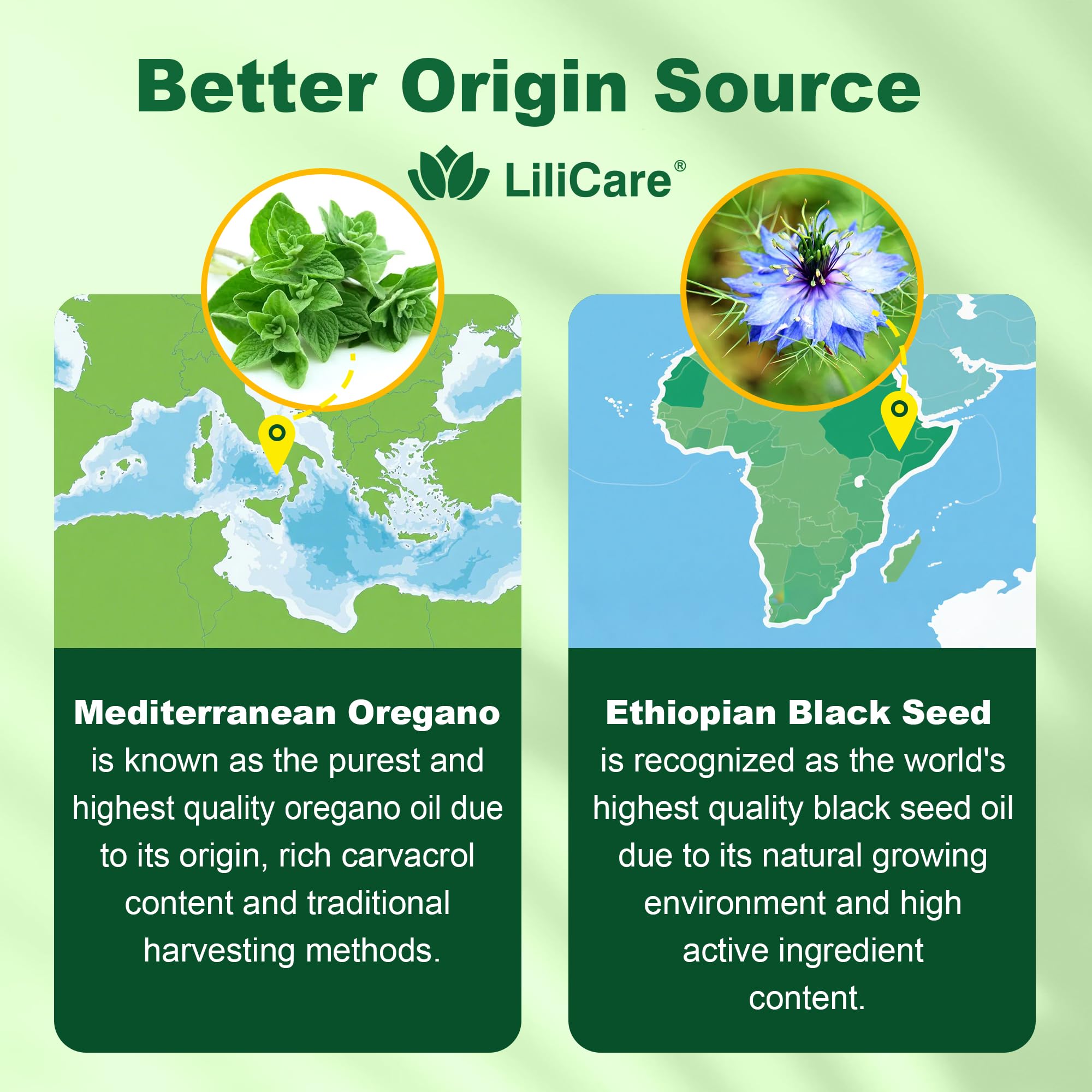 LILICARE ingredientes: orégano mediterráneo y comino negro etíope