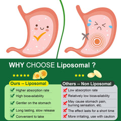 LILICARE textura del centro liposomal que protege los aceites