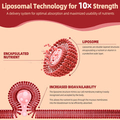 Lipovis diagrama liposomal explicando mejor absorción y entrega