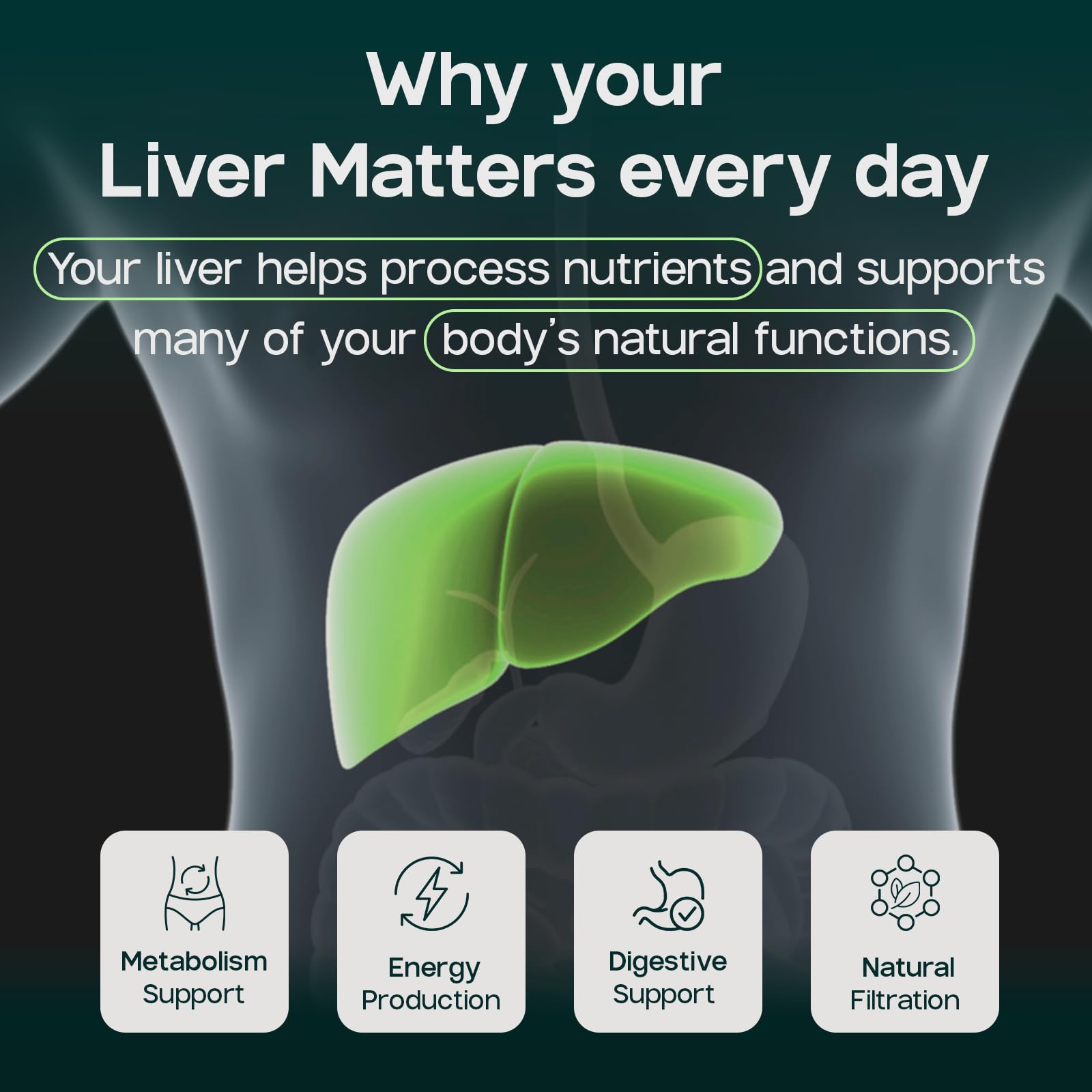 LIVERITE detalle de etiqueta con ingredientes y datos nutricionales claros