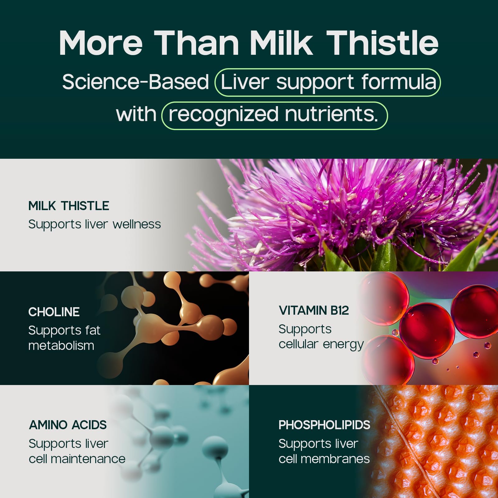 LIVERITE frasco abierto con cápsulas para visualización de cantidad