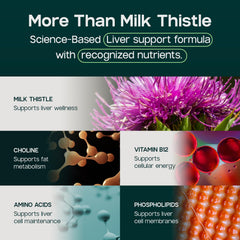 LIVERITE frasco abierto con cápsulas para visualización de cantidad