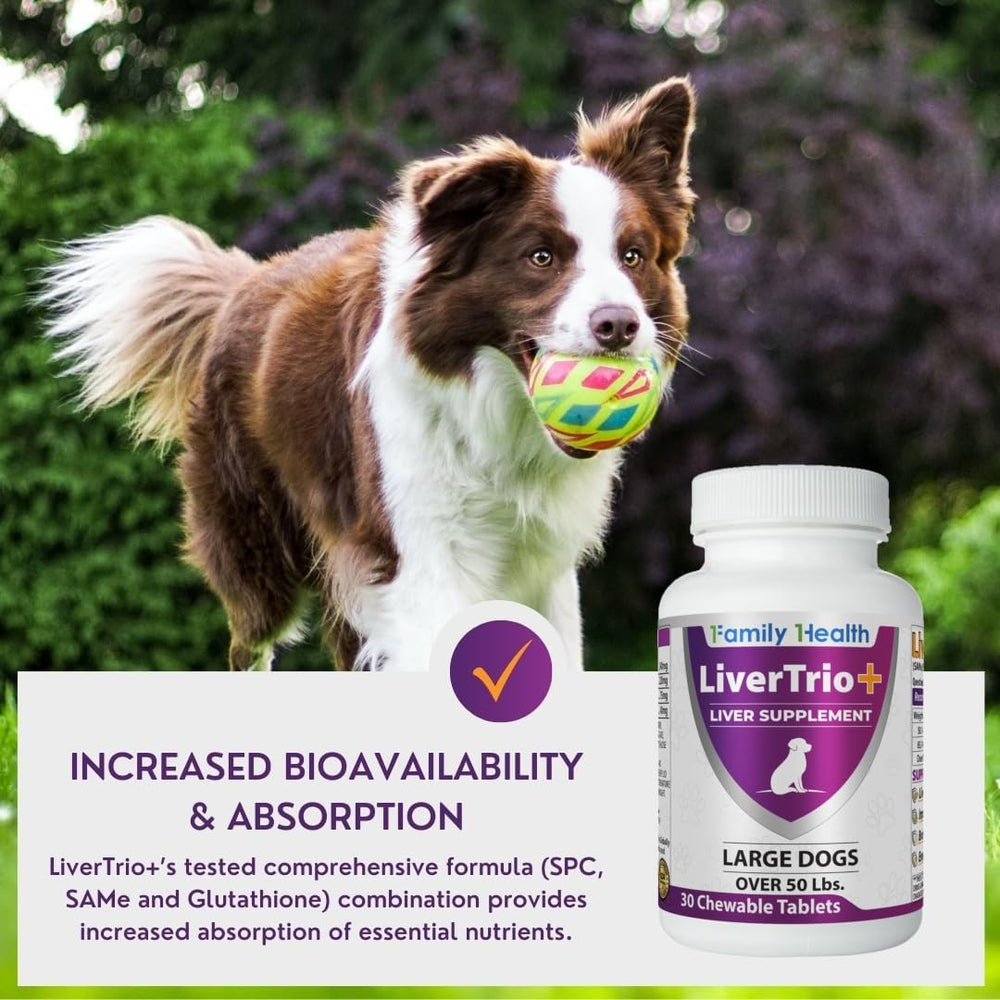 perro grande aceptando snack LiverTrio+ muestra palatabilidad y conveniencia