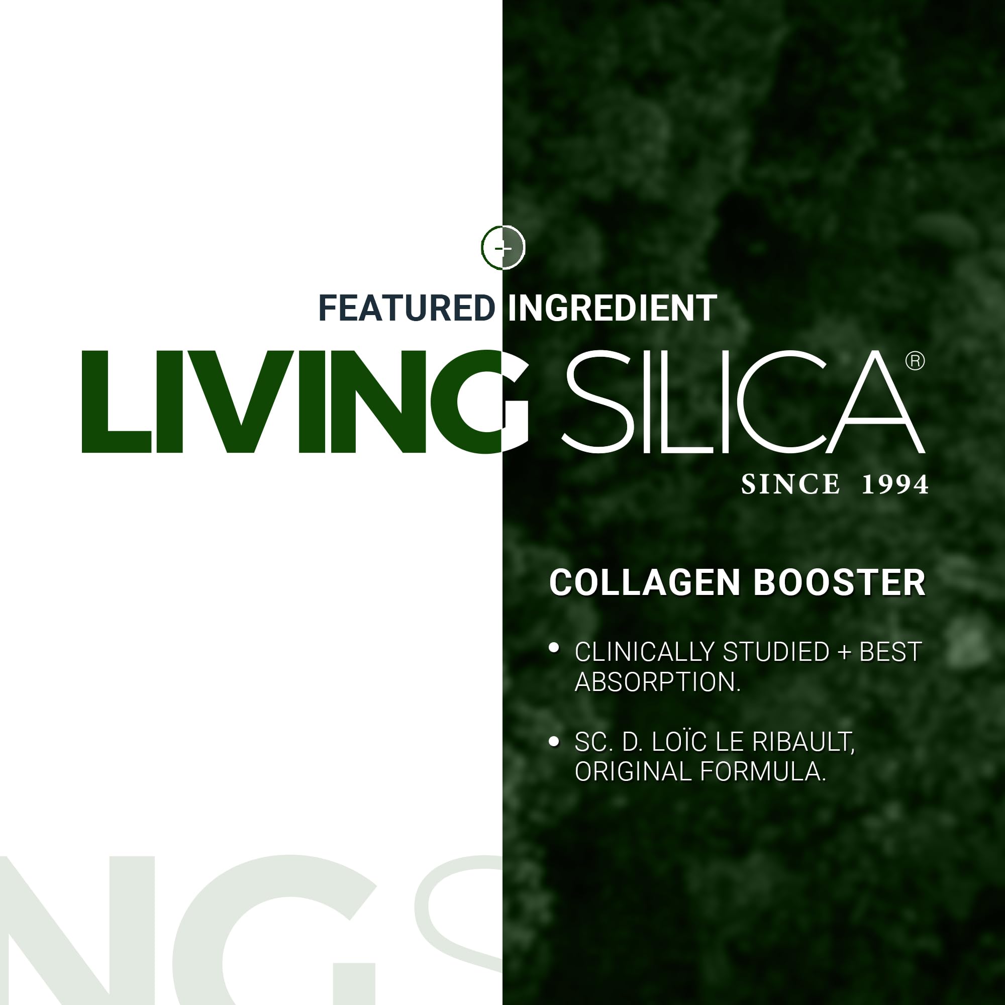 Living Silica en mesa de bienestar ilustrando integración en rutina diaria