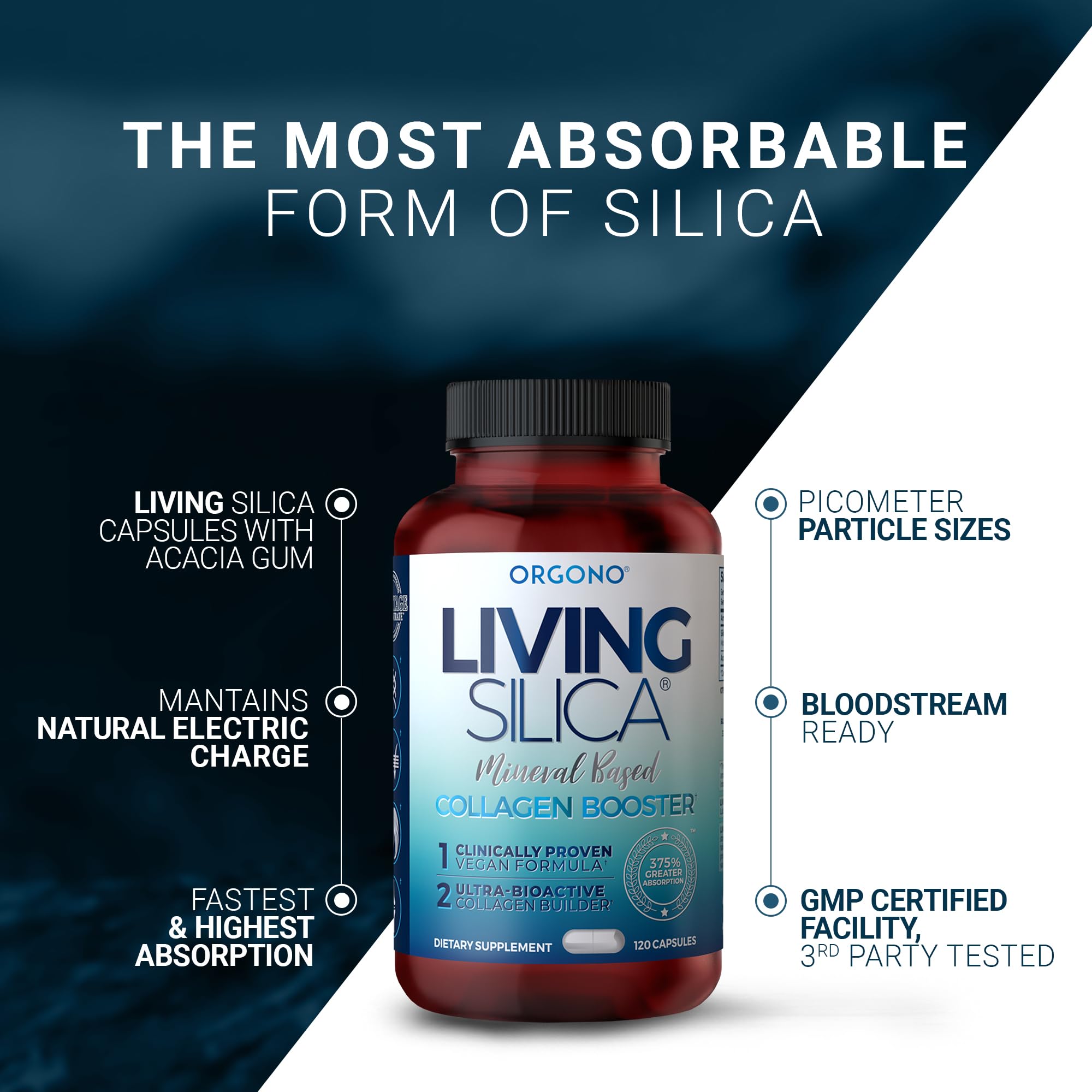 Living Silica cápsulas en primer plano destacando textura y pureza