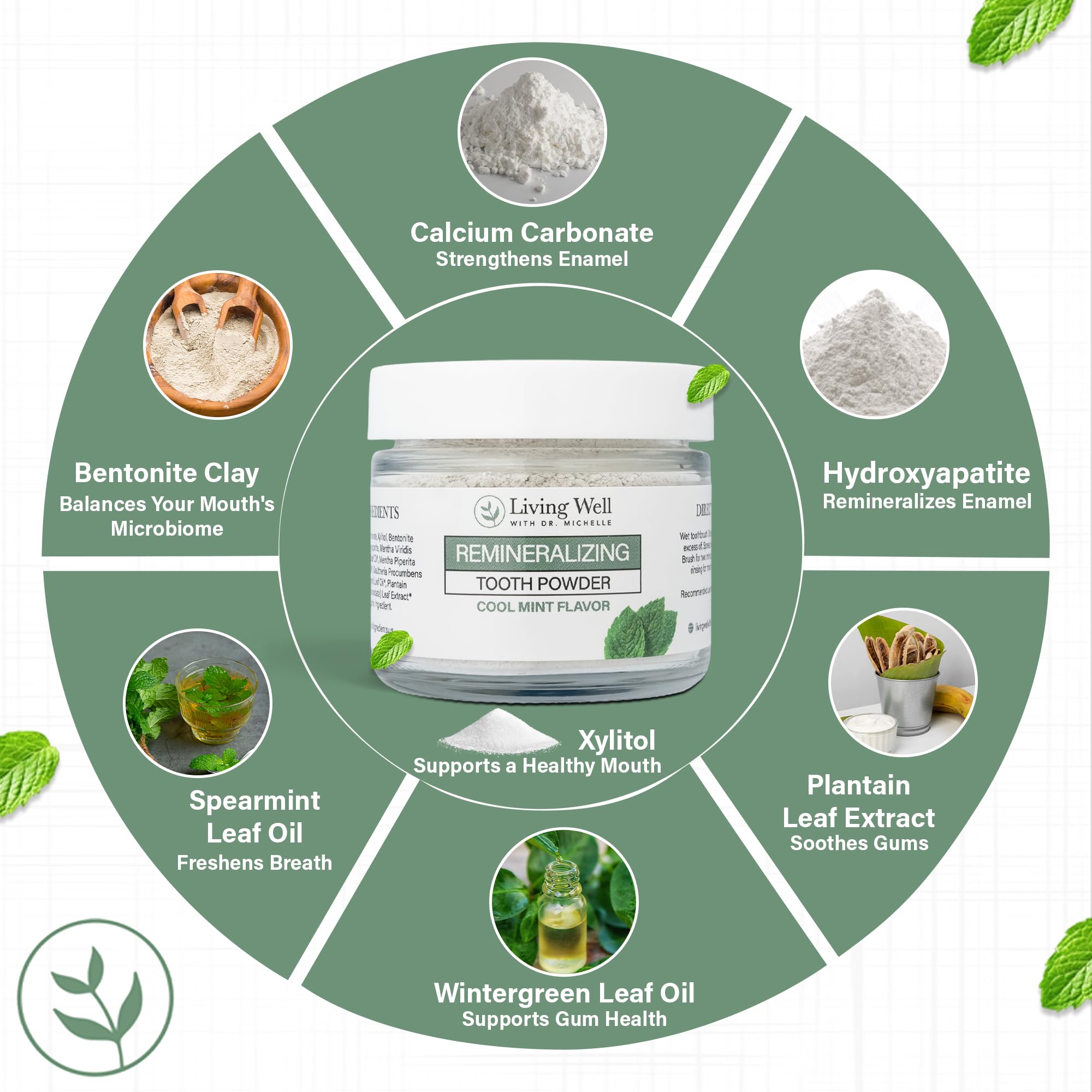 Living Well with Dr. Michelle persona aplicando polvo al cepillo para limpieza eficaz
