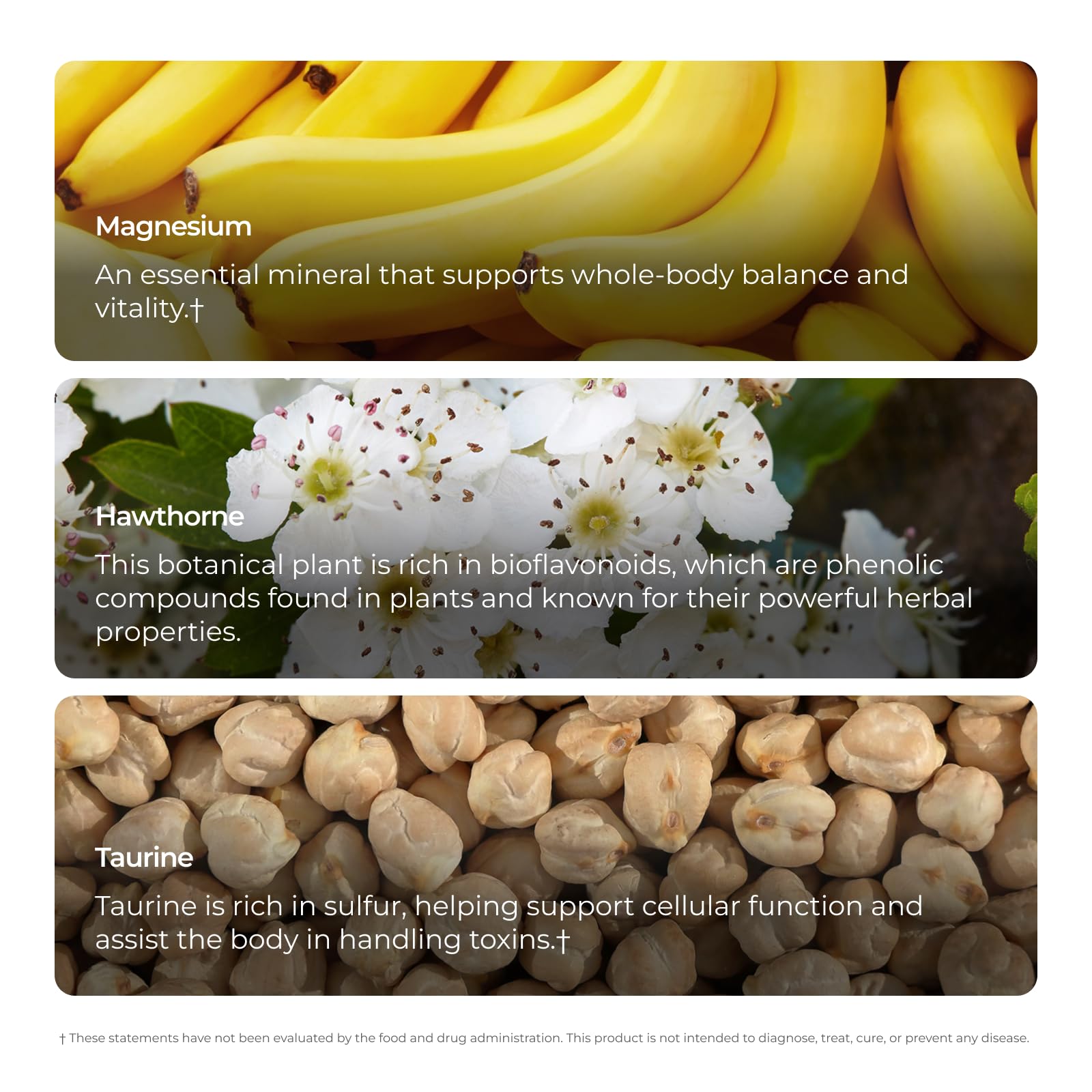 Livingood Daily etiqueta con lista de ingredientes y ventajas