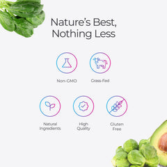 Livingood Daily comparación de porción que muestra tamaño de una scoop útil