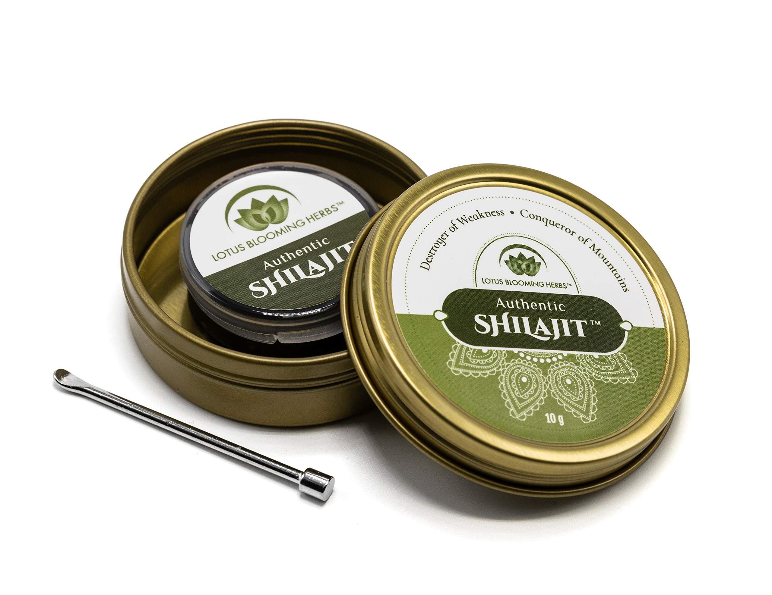 Comparación de escala Lotus Blooming Herbs junto a monedas para visualización de tamaño