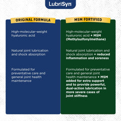 LubriSyn en ambiente activo para apoyar movimiento y comodidad articular