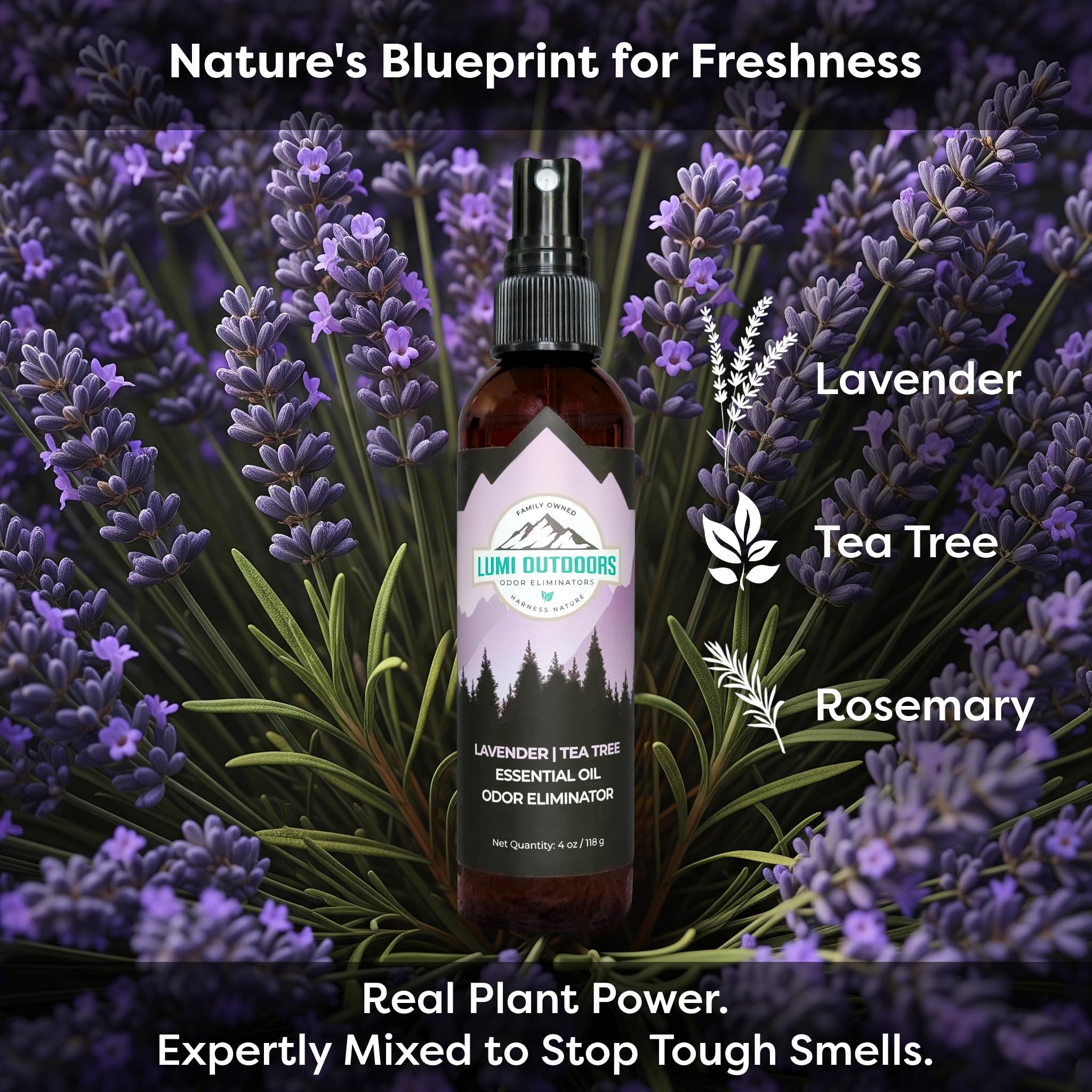 Lumi Outdoors cítrico árbol del té enfocado en aroma revitalizante
