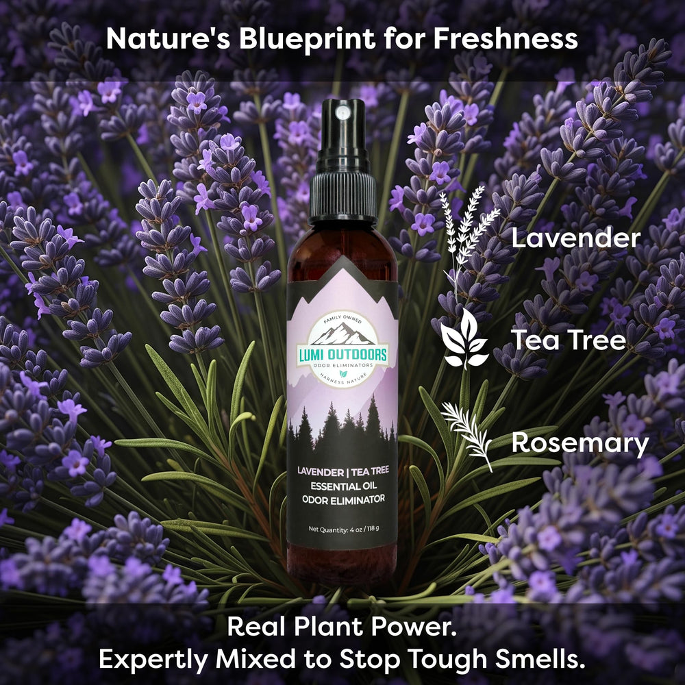 Lumi Outdoors cítrico árbol del té enfocado en aroma revitalizante