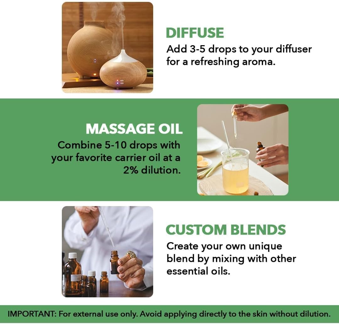 Majestic Pure difusor en uso en salón para aromaterapia cotidiana