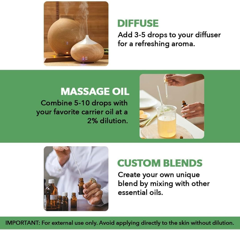 Majestic Pure difusor en uso en salón para aromaterapia cotidiana