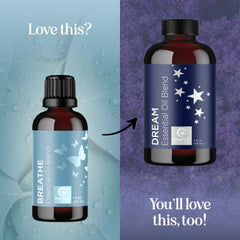 Maple Holistics junto a una regla para comparar su tamaño compacto