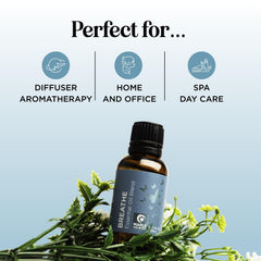 Maple Holistics con hojas de eucalipto y menta destacando ingredientes