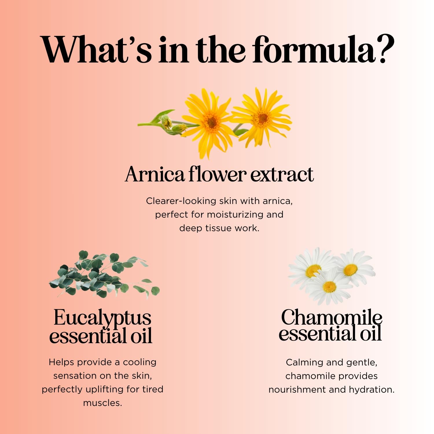 Maple Holistics comparación de tamaño en mano mostrando el volumen práctico de 8 fl oz