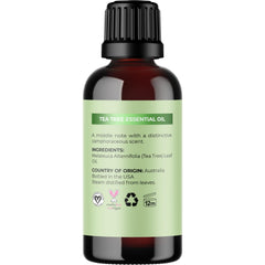 Maple Holistics masaje capilar con aceite para cuero cabelludo más limpio