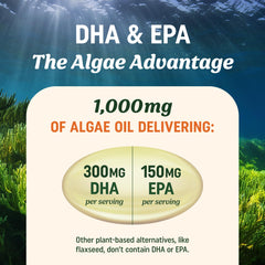 MAV NUTRITION aceite de algas textura clara sin regusto a pescado