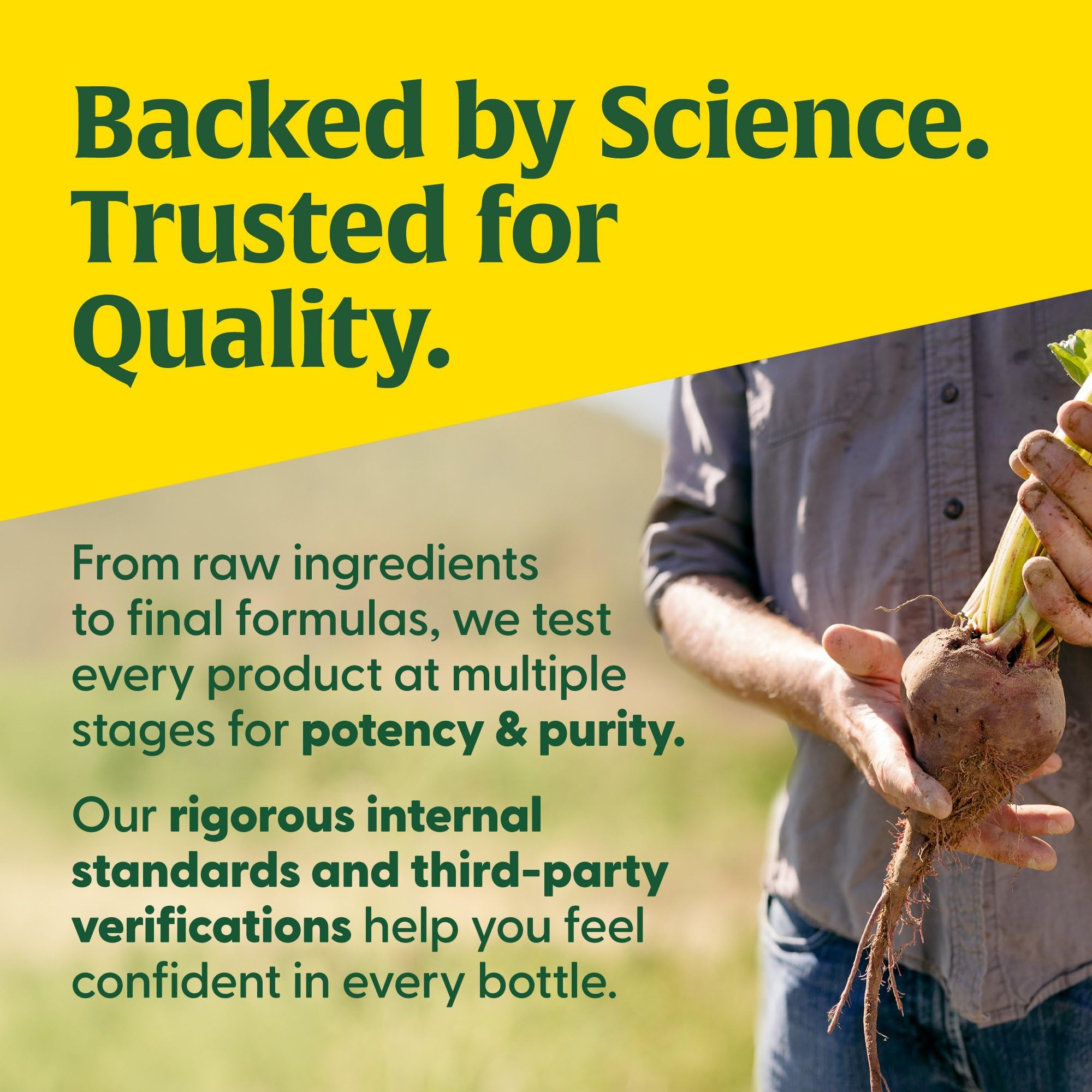 MegaFood B12 libre de los 9 alérgenos comunes.