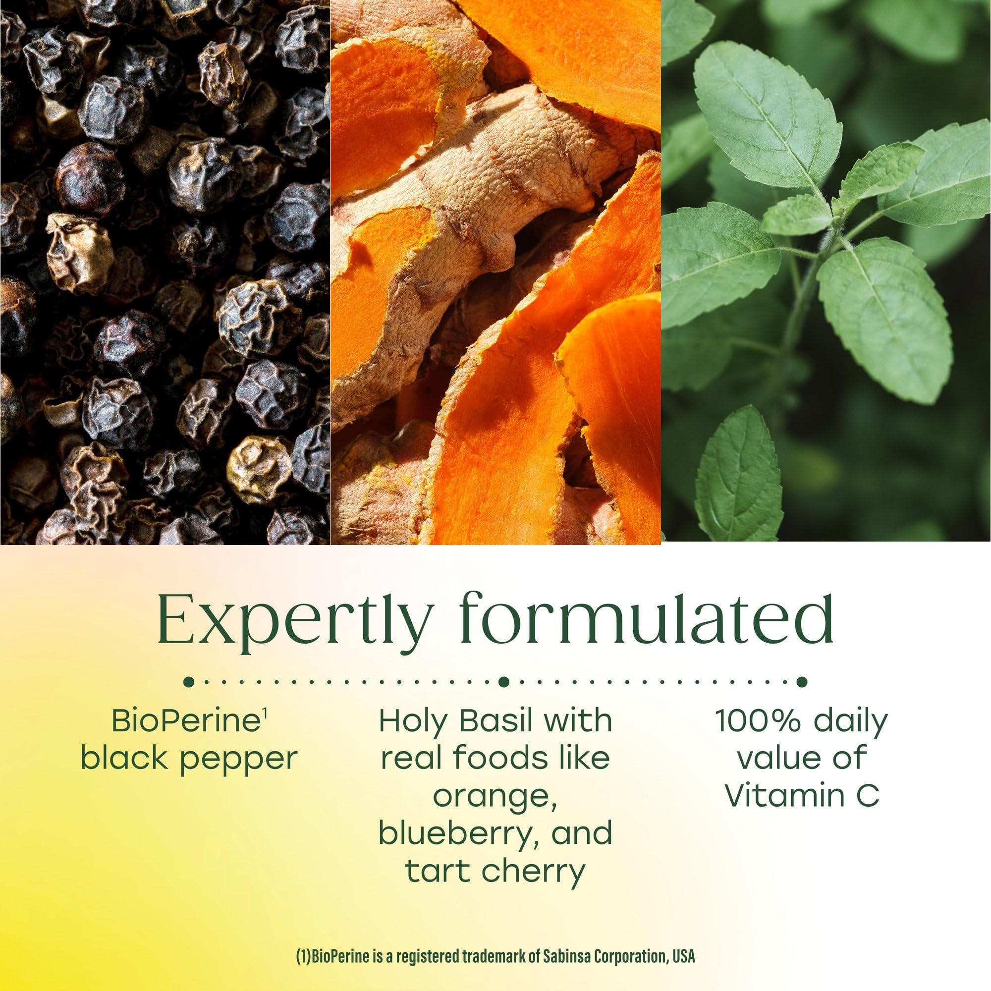 MegaFood mezcla de ingredientes: cúrcuma, cereza ácida y frutos rojos beneficiosos