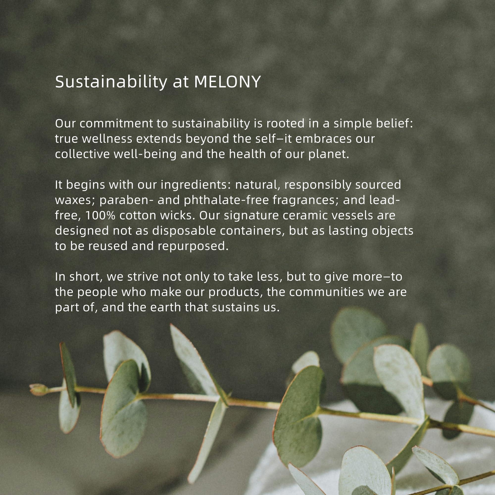 MELONY ingredientes naturales en texto y elementos botánicos en imagen