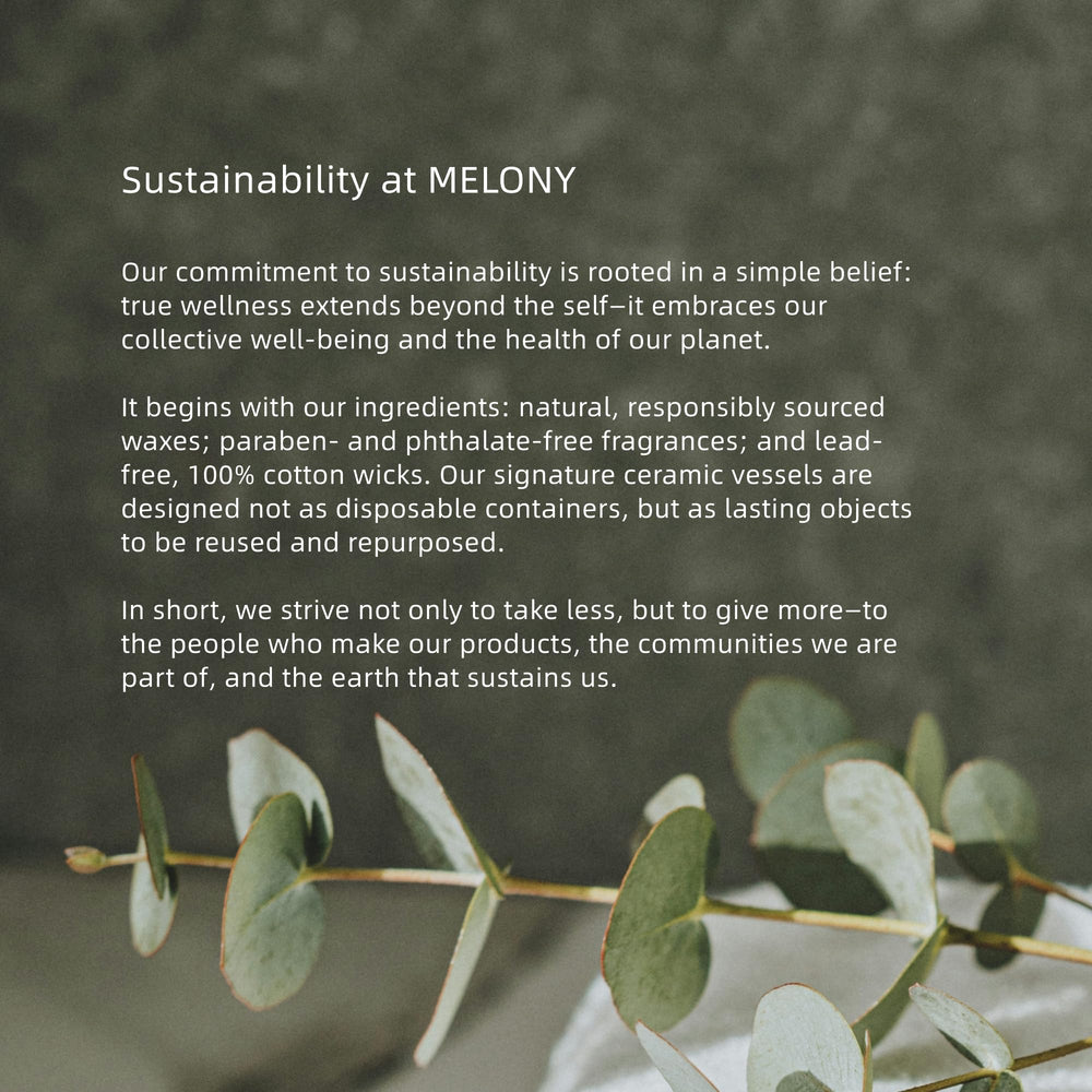 MELONY ingredientes naturales en texto y elementos botánicos en imagen