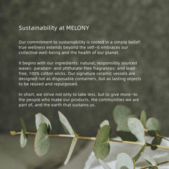 MELONY ingredientes naturales en texto y elementos botánicos en imagen