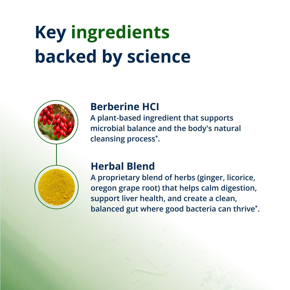 Metagenics CandiBactin‑BR etiqueta de ingredientes resaltando berberina y extractos botánicos, transparencia
