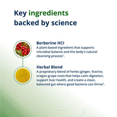 Metagenics CandiBactin‑BR etiqueta de ingredientes resaltando berberina y extractos botánicos, transparencia