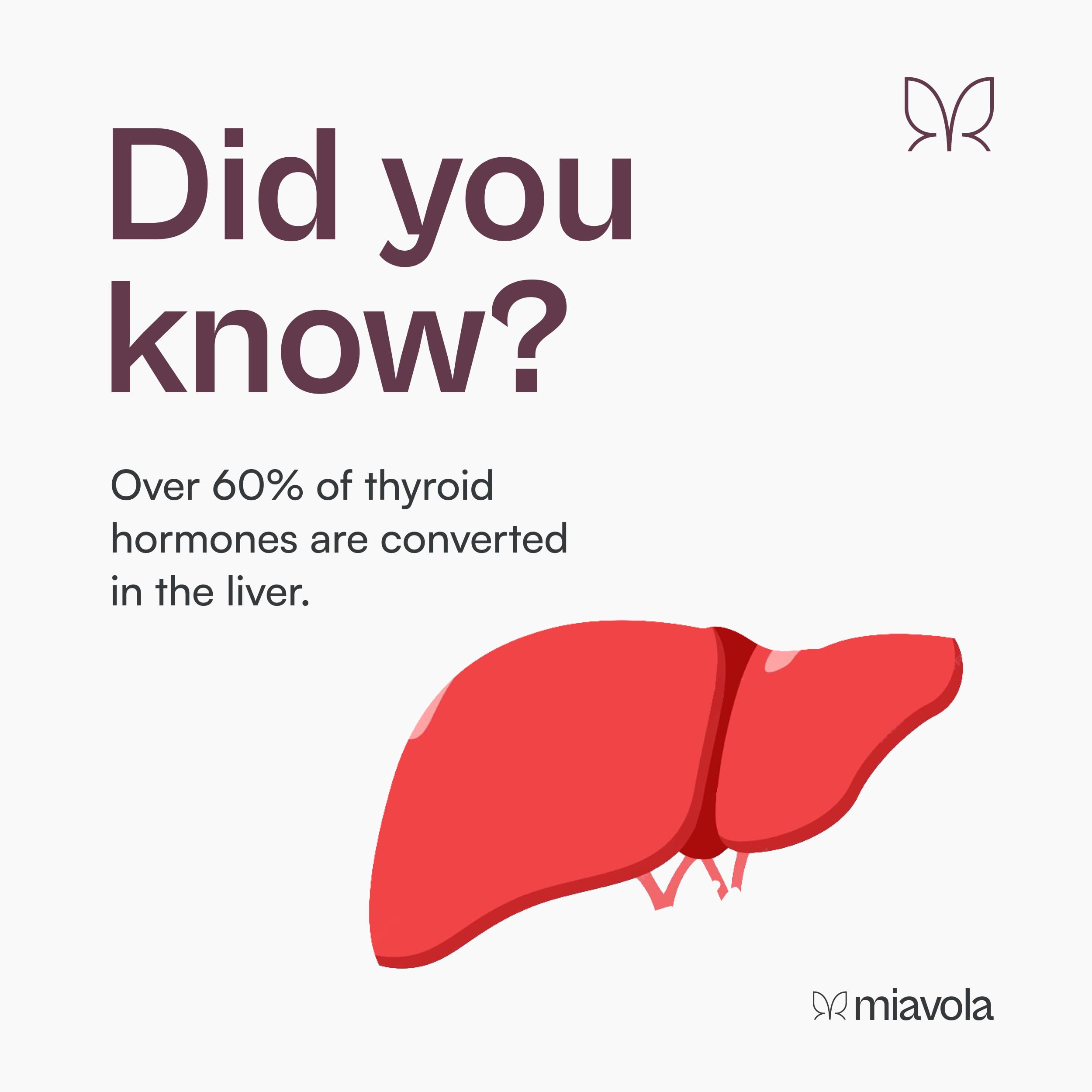 miavola etiqueta Conversol con información nutricional y dosis visible
