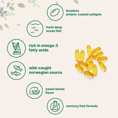 Micro Ingredients frasco junto a plato para tomar con comida y mejor absorción