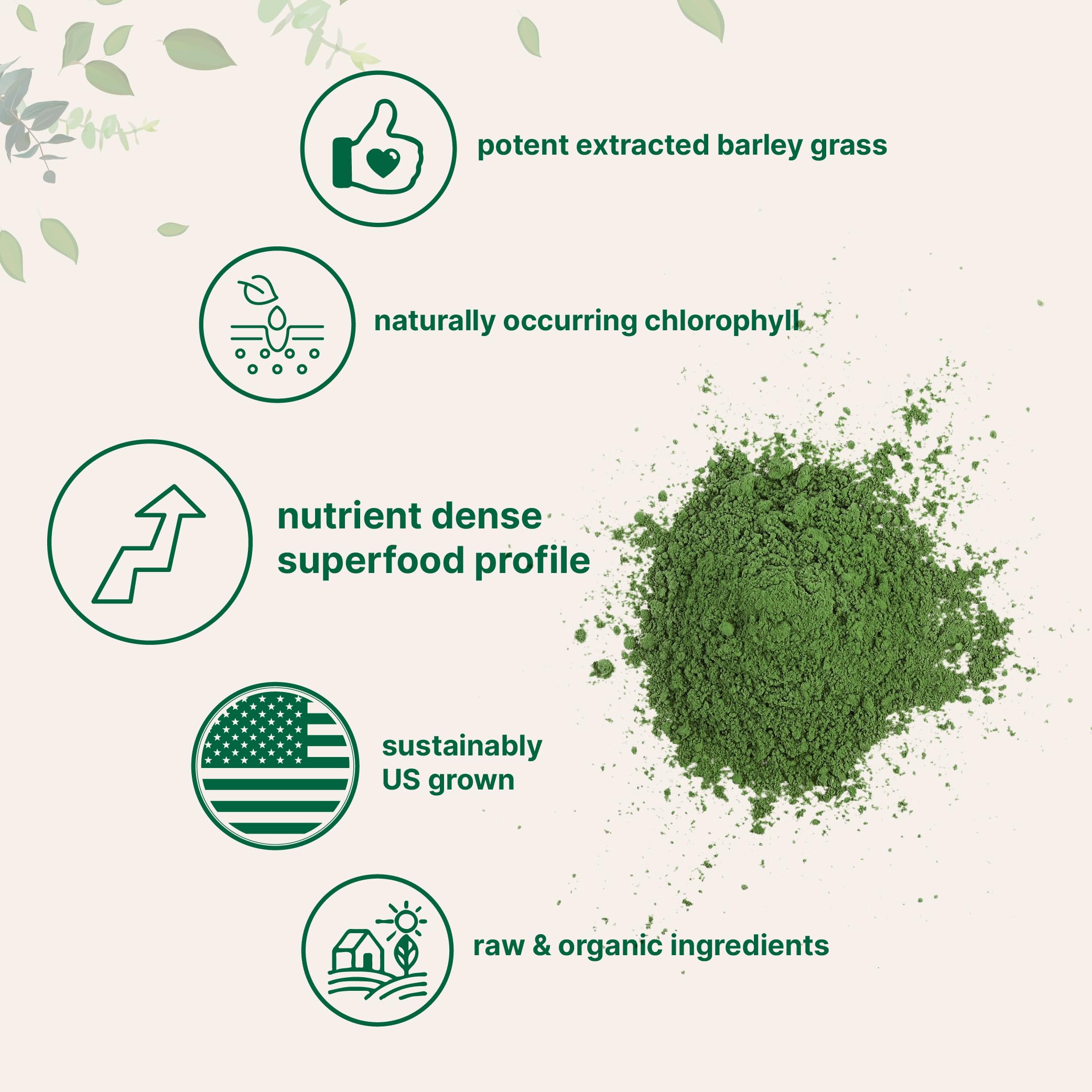 Micro Ingredients cucharada medidora con porción de 3 g mostrando control de dosis