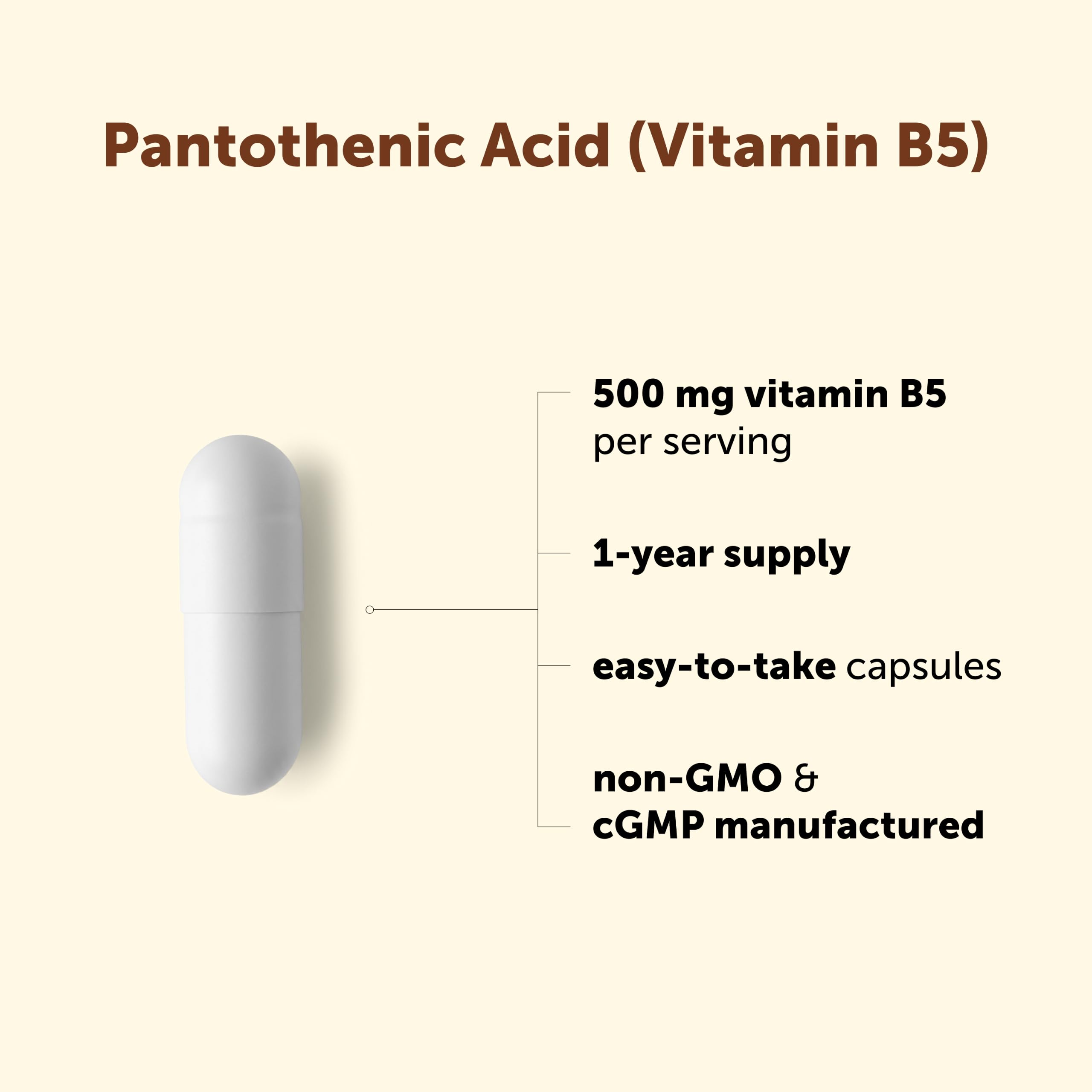 Micro Ingredients cápsula en mano para visualizar tamaño práctico