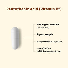 Micro Ingredients cápsula en mano para visualizar tamaño práctico