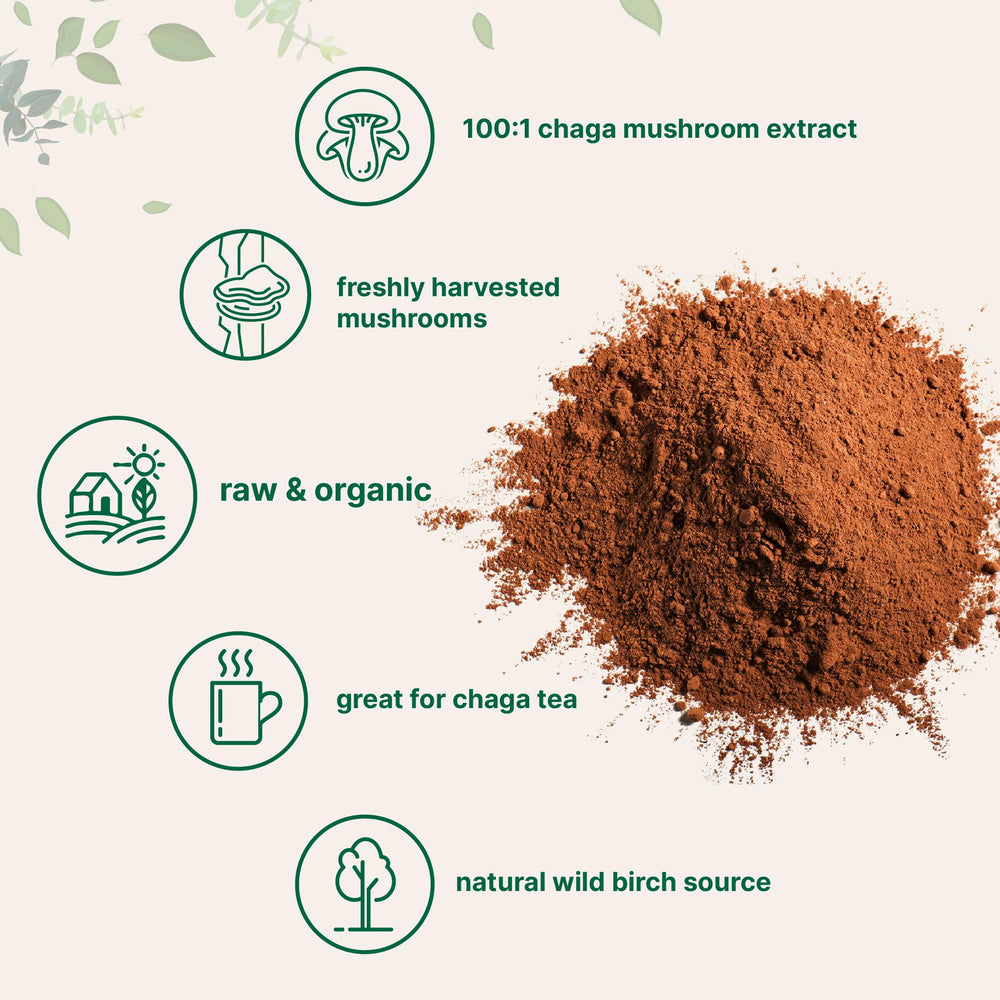Micro Ingredients chaga disuelto en taza de té listo para consumo