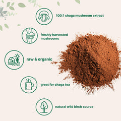 Micro Ingredients chaga disuelto en taza de té listo para consumo