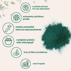 Micro Ingredients cucharada con chlorella para referencia de porción práctica