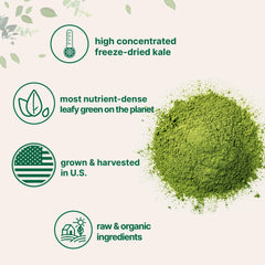 Micro Ingredients media cucharada de polvo de kale junto a una regla para escala y dosificación