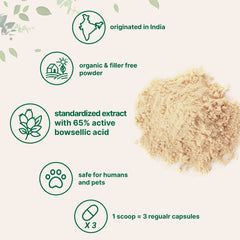 Micro Ingredients cuchara dosificadora con polvo listo para mezclar