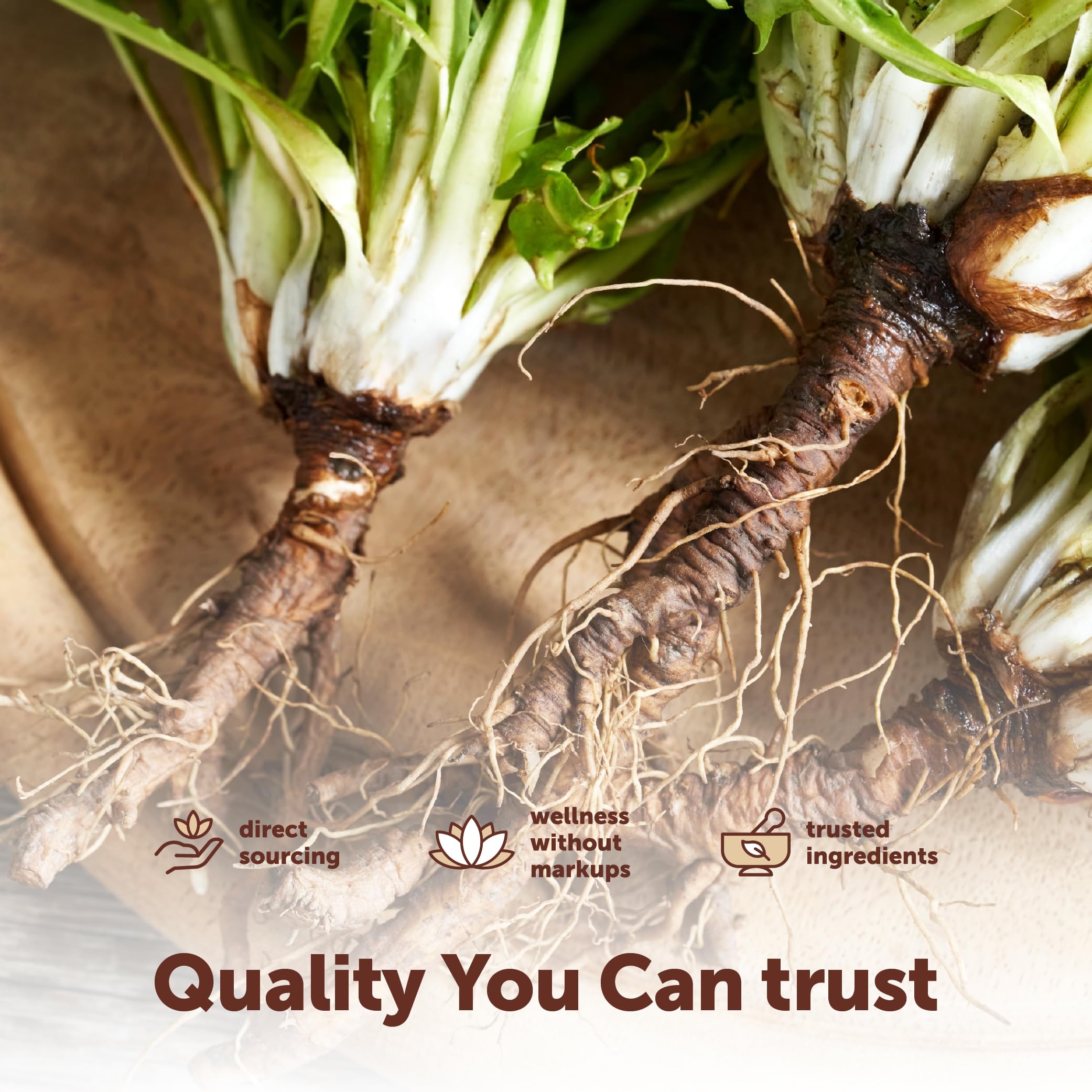 Micro Ingredients etiqueta nutricional detallada mostrando información de calidad