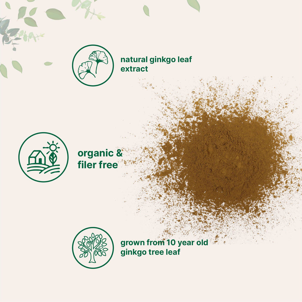 Micro Ingredients polvo de ginkgo mezclado en batido nutritivo, uso práctico